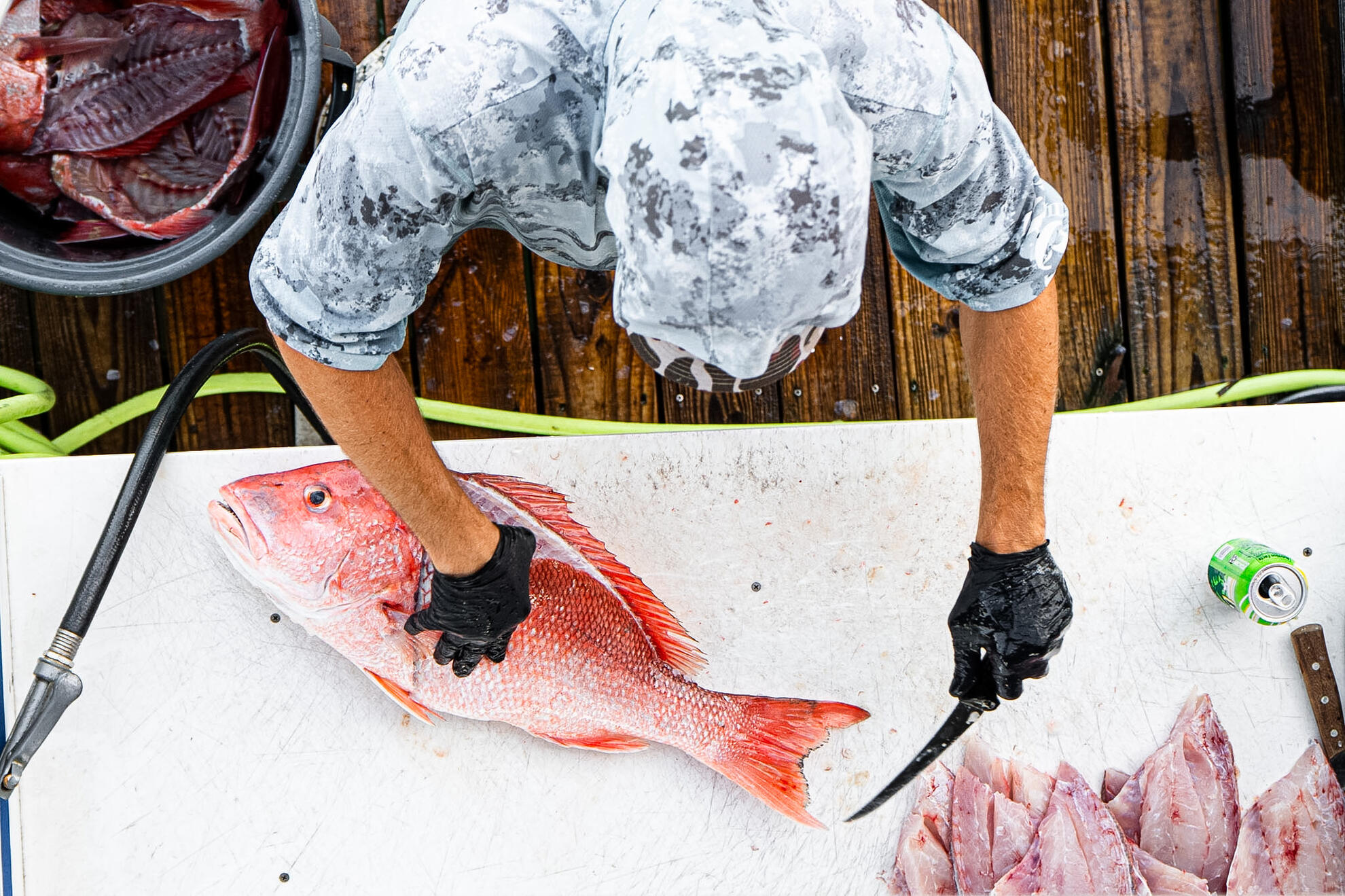 Gutting Fish