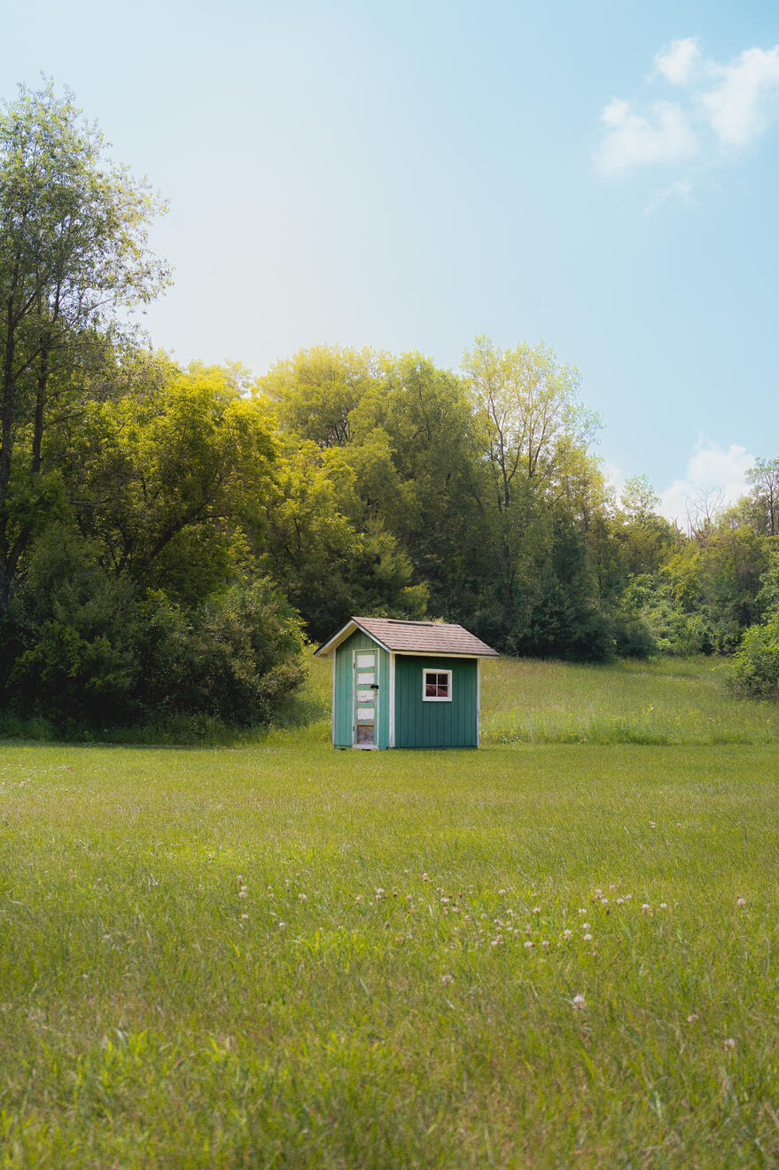 Scene